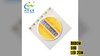 RGBCW COB LED 25W 조정 가능 백색 고전력